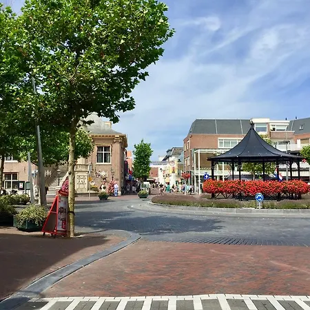 赞德福特中心公寓 *